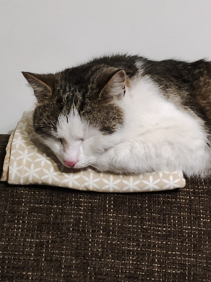 oskar